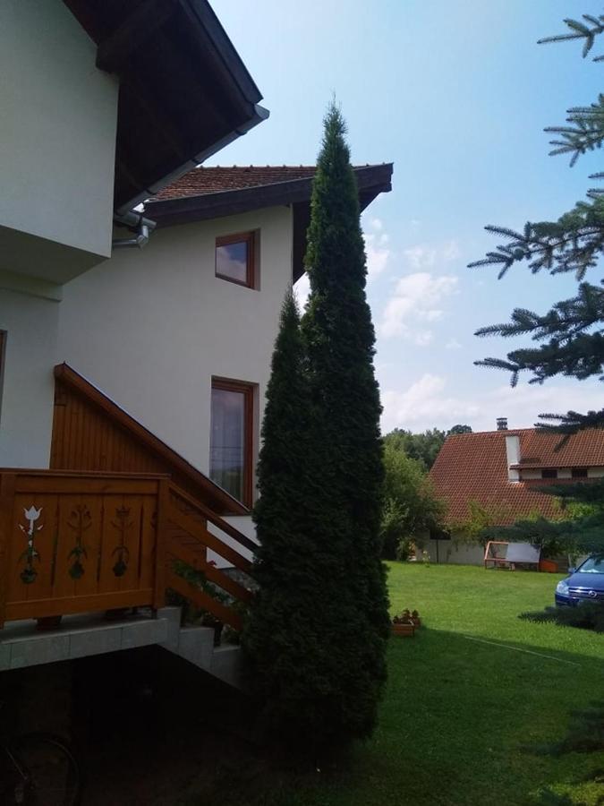 Hotel Casa Lacul Mierlei Sovata Exteriér fotografie