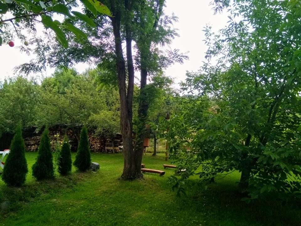 Hotel Casa Lacul Mierlei Sovata Exteriér fotografie