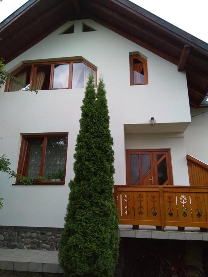 Hotel Casa Lacul Mierlei Sovata Exteriér fotografie