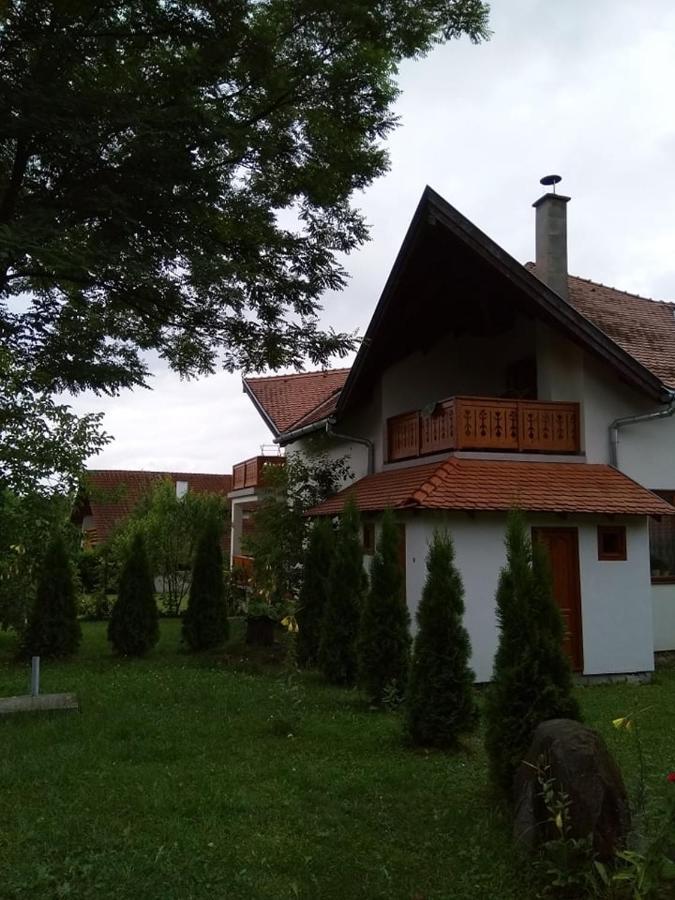 Hotel Casa Lacul Mierlei Sovata Exteriér fotografie