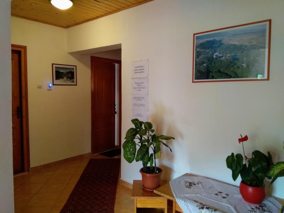 Hotel Casa Lacul Mierlei Sovata Exteriér fotografie